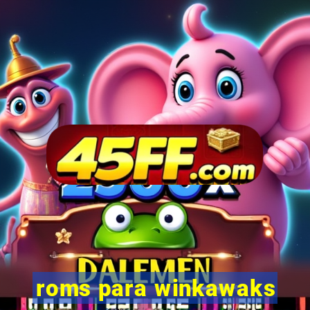 roms para winkawaks
